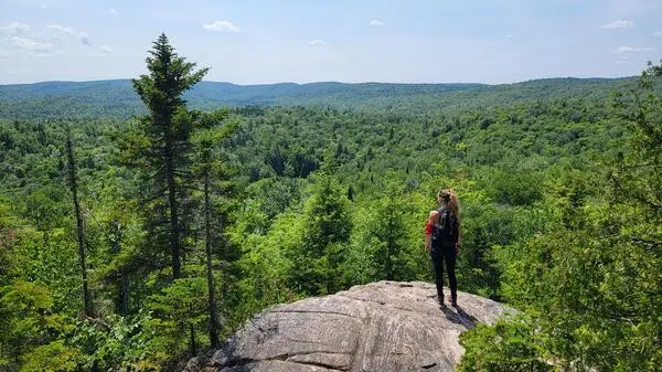 Top 10 Những Địa Điểm Leo Núi Ở Việt Nam Cho Người Mới