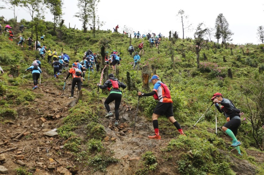 Các cuộc thi chạy trail tại Việt Nam được tổ chức liên tục trong năm thu hút đông đảo người tham gia