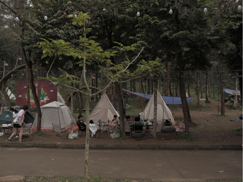 Cắm trại qua đêm giữa rừng thông rộng lớn của Ba V