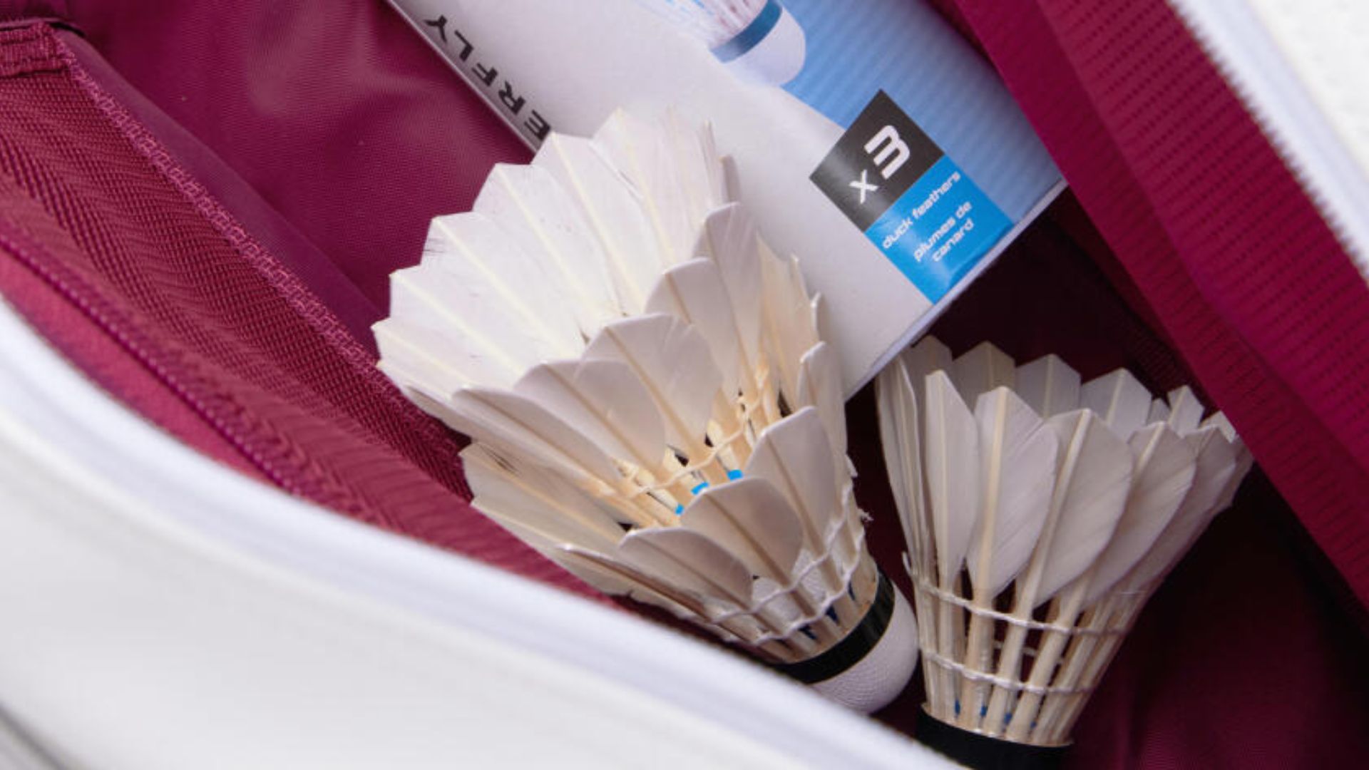 1 hộp cầu lông bao nhiêu tiền? 13+ sản phẩm đáng mua hiện nay