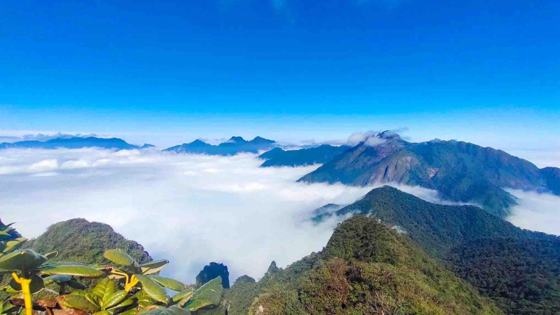 Những đỉnh núi lạnh nhất Việt Nam 3 đỉnh núi cao nhất Việt Nam là những đỉnh núi nào