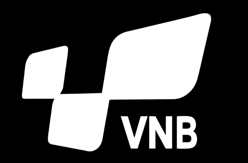 Logo Brand Name vợt cầu lông VNB