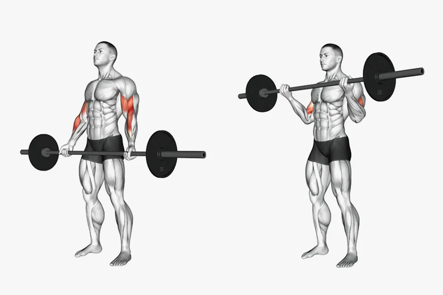 Triceps Extensions