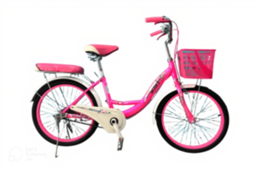 Xe đạp phổ thông 20 Inch HMT Mini (7-10 tuổi) là dòng xe đạp màu hồng