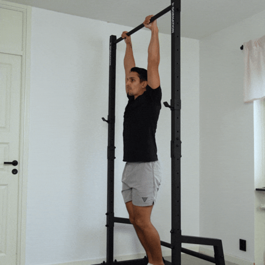 Mô phỏng động tác hanging knee raise