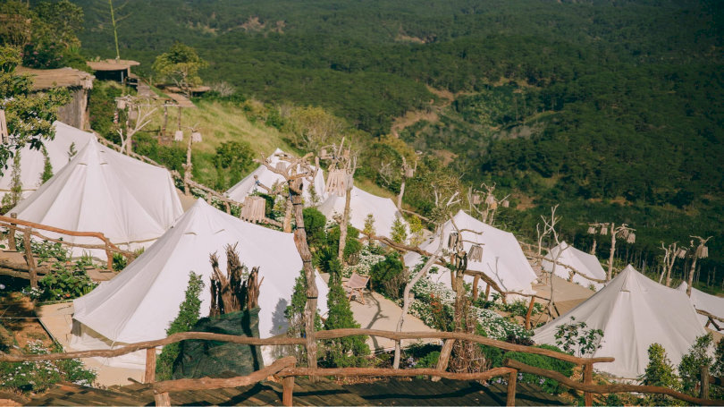 Cắm trại Đà Lạt: Cẩm nang chi tiết cho buổi vui chơi hoàn hảo