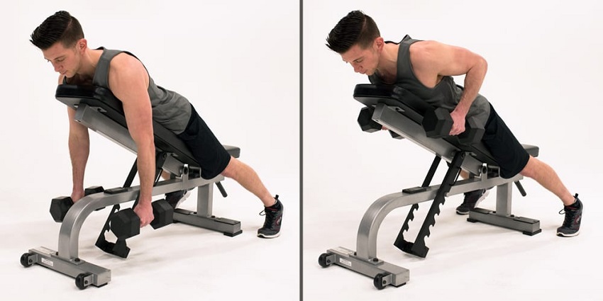 Chest-supported Dumbbell Row - một trong các bài tập lưng xô tại phòng gym được ưa chuộng