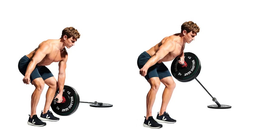 Tư thế nâng hạ tạ trong bài tập Single-arm T-bar Rows