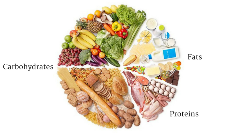Xác định tỷ lệ các chất dinh dưỡng đa lượng cần thiết khi bulking.