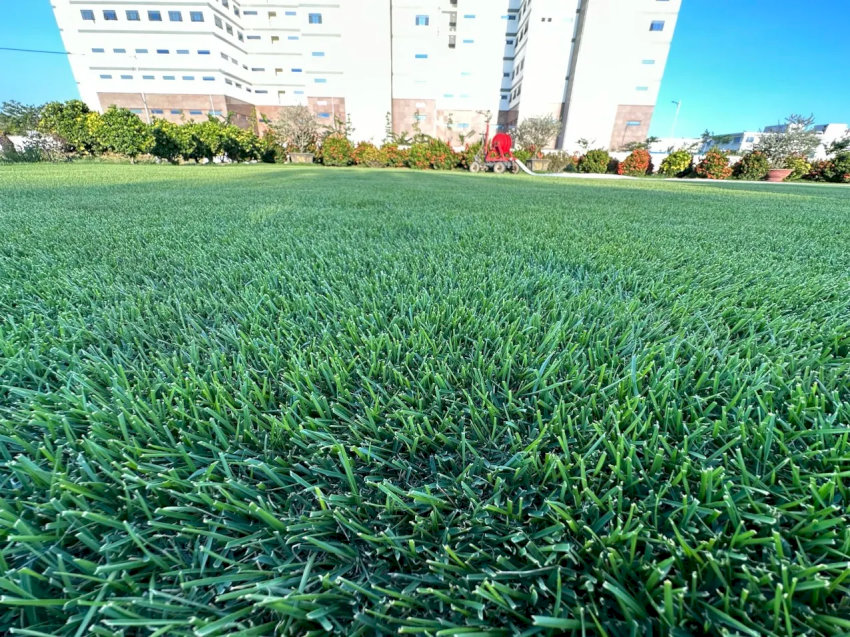 Đánh giá của người chơi Doan MINH TIEN về sân 918.