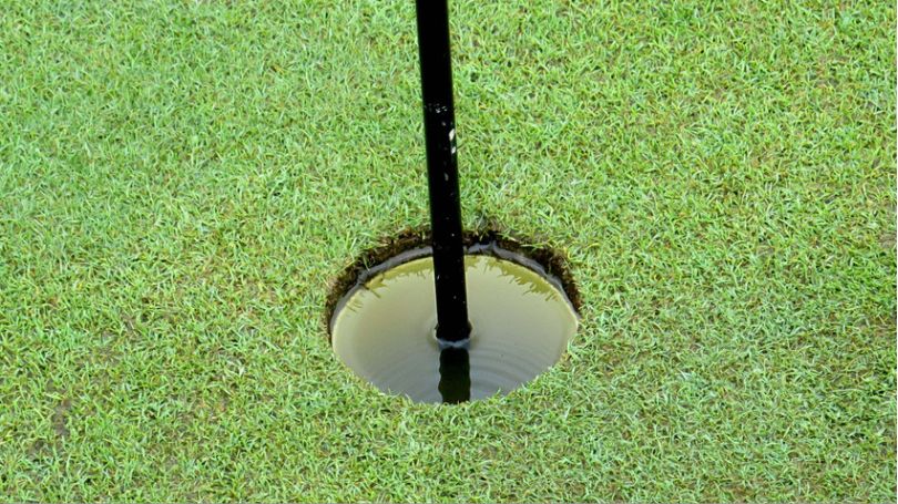 6+ Loại cỏ sân golf phổ biến giúp người chơi có trải nghiệm tuyệt vời 