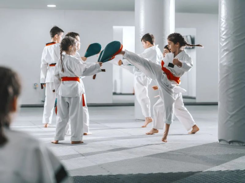 Hệ thống đai karate chia thành 2 nhóm cho đối tượng học sinh và huấn luyện viên