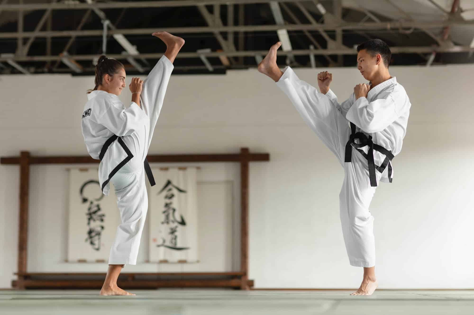 võ taekwondo