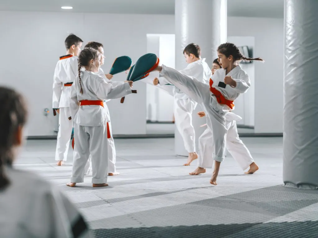 Đai Karate: Khám phá Ý nghĩa, Thứ tự cấp bậc và Lộ trình lên đai