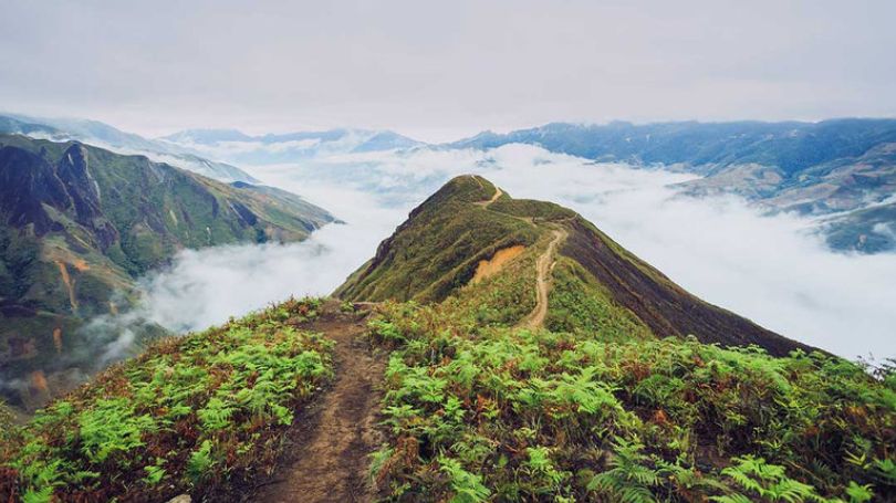 Khám Phá Đỉnh Tà Xùa – Săn Mây Giữa Đại Ngàn Tây Bắc