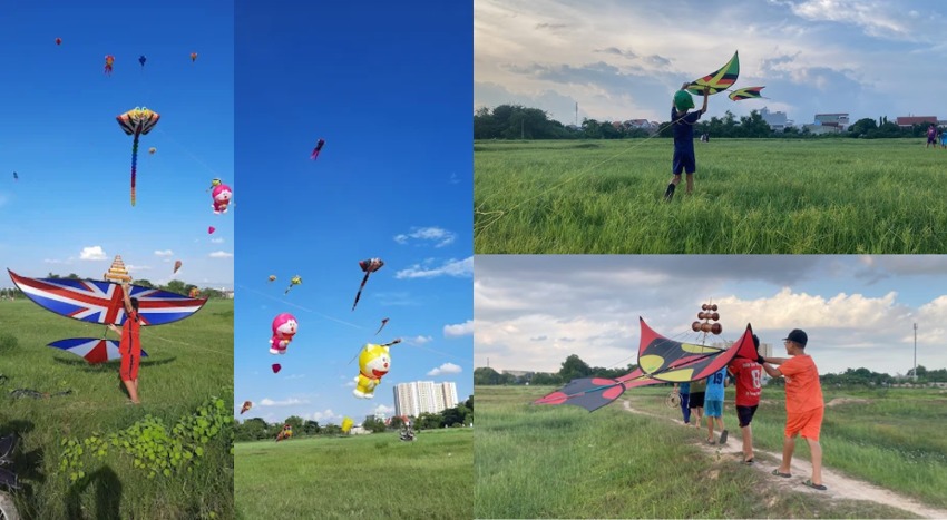 Đồng diều Vĩnh Lộc A - Nguồn: Internet