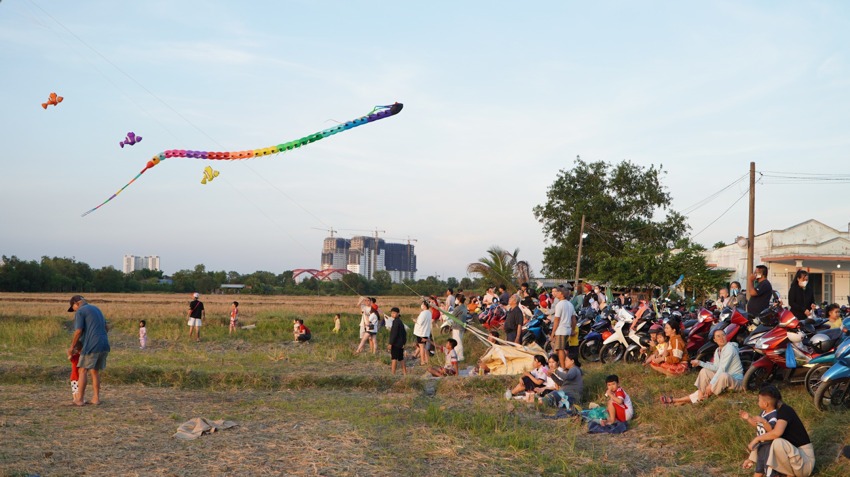 Đồng diều An Phú Tây - Nguồn: Internet