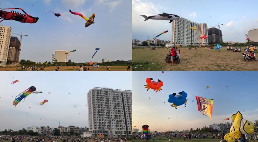 Đồng diều KCN Tân Bình - Nguồn: Internet
