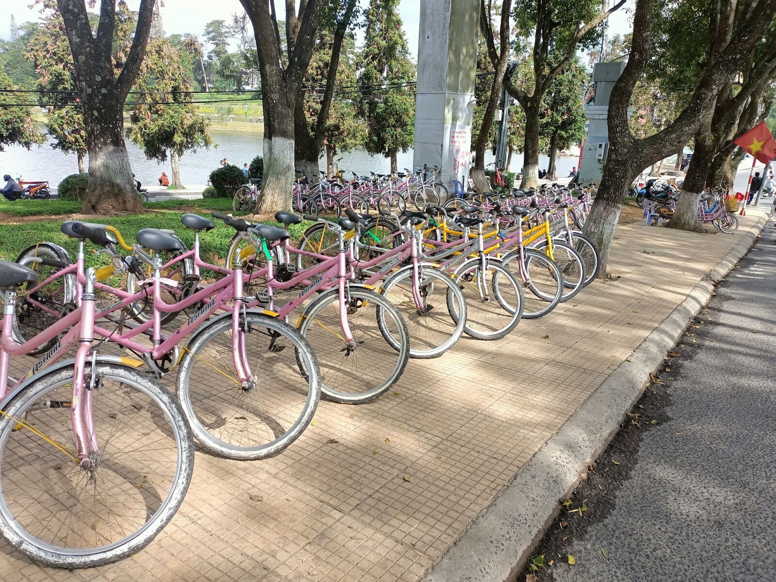 Một điểm cho thuê xe đạp nằm dọc các tuyến đường ở hồ Xuân Hương