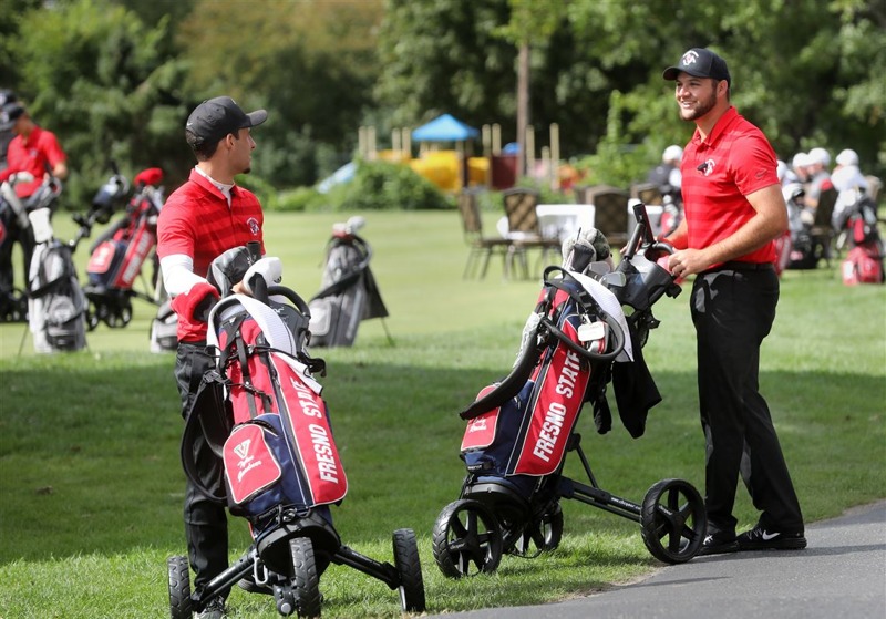 Buggy dạng đẩy (Nguồn: Internet)