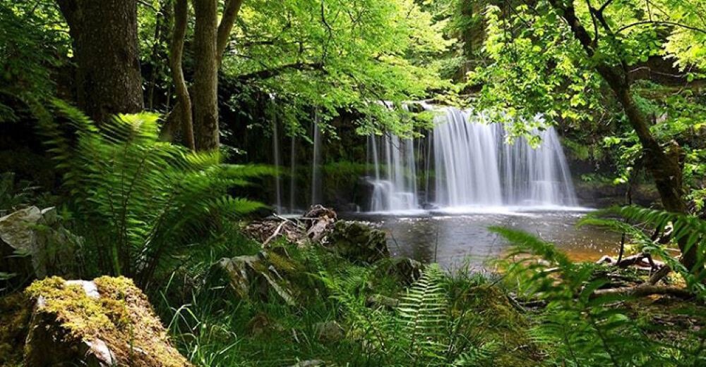 Vườn Quốc gia Phú Quốc - Nguồn: Internet