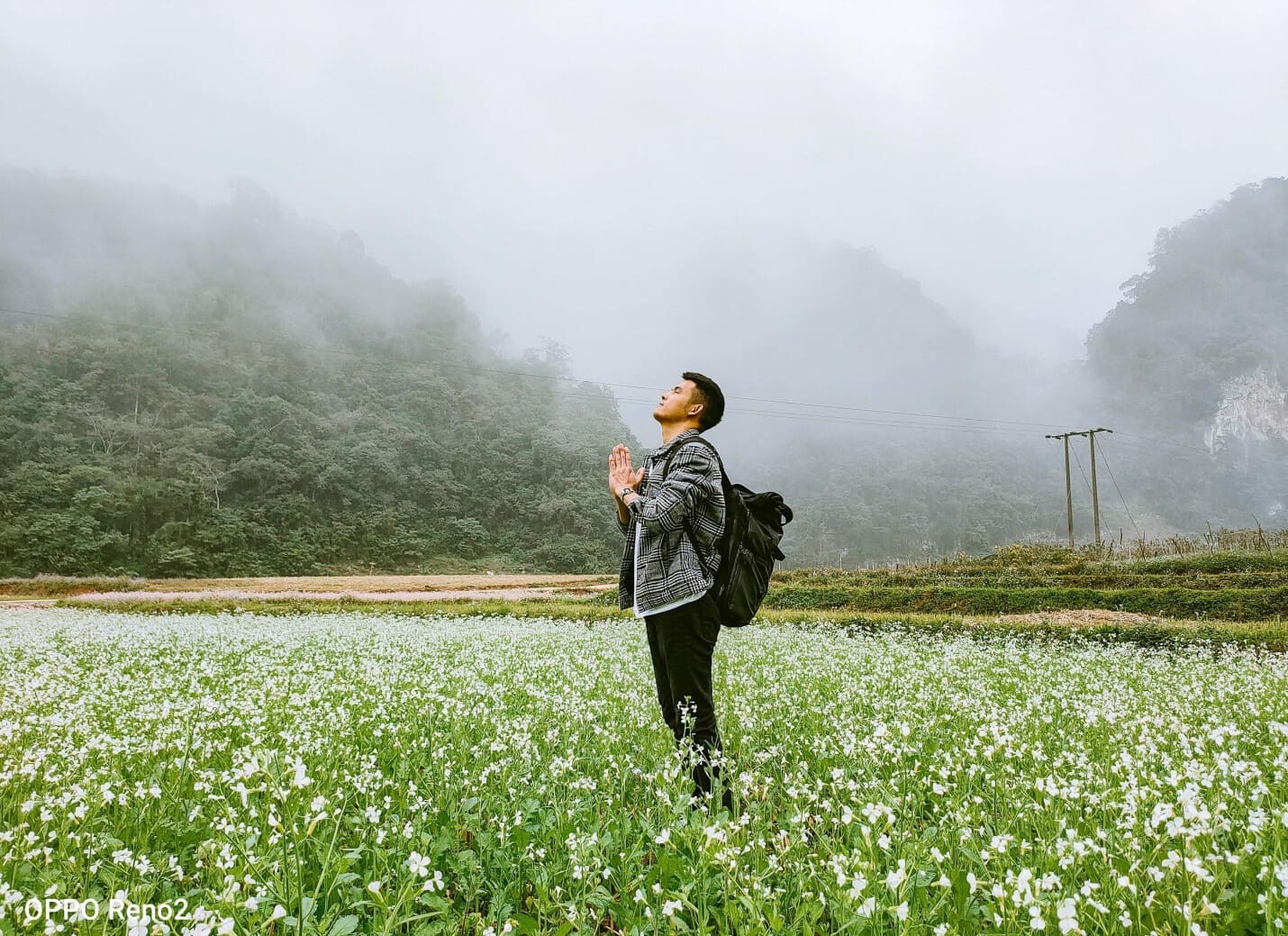 Cánh đồng hoa ở Mộc Châu - Nguồn: Internet