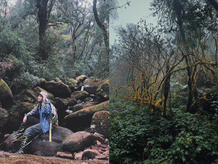 Cảnh sắc đa dạng trên đường chinh phục Putaleng (Nguồn: Internet)