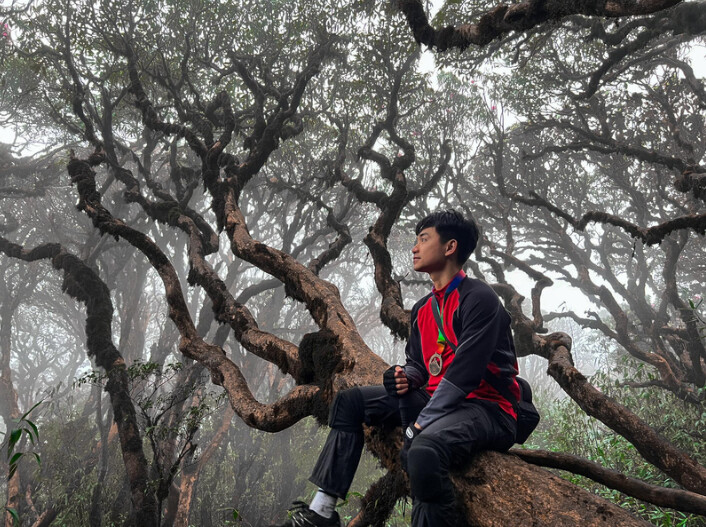 Hoà mình vào thiên nhiên giữa rừng già rợp bóng (Nguồn: Internet)