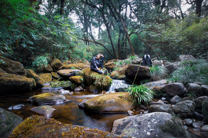 Thư giãn bên bờ suối (Nguồn: Internet)