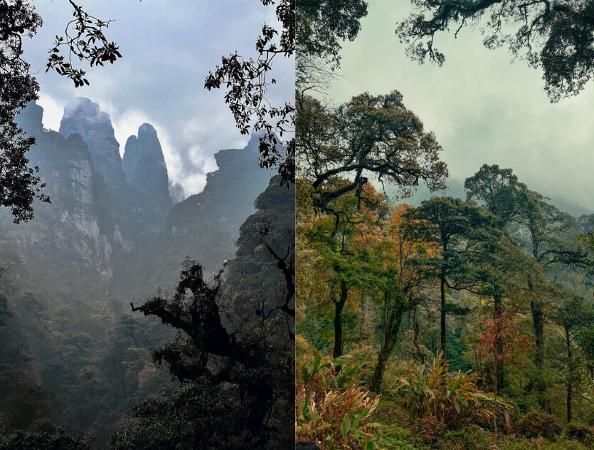 Từ tháng 10 đến tháng 4 năm sau là thời điểm lý tưởng để trekking Putaleng (Nguồn: Internet)