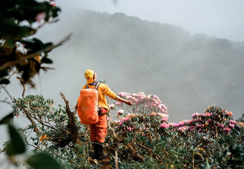Trekking chinh phục Pu Ta Leng - Nguồn: Internet