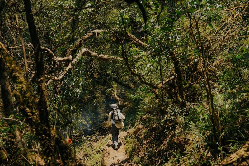 Leo núi Phu Sa Phìn - Nguồn: Internet