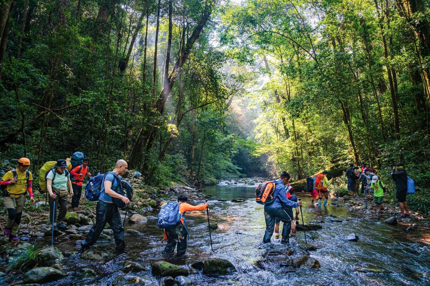 10++ Cung trekking miền Nam từ dễ đến khó, đáng chinh phục nhất!