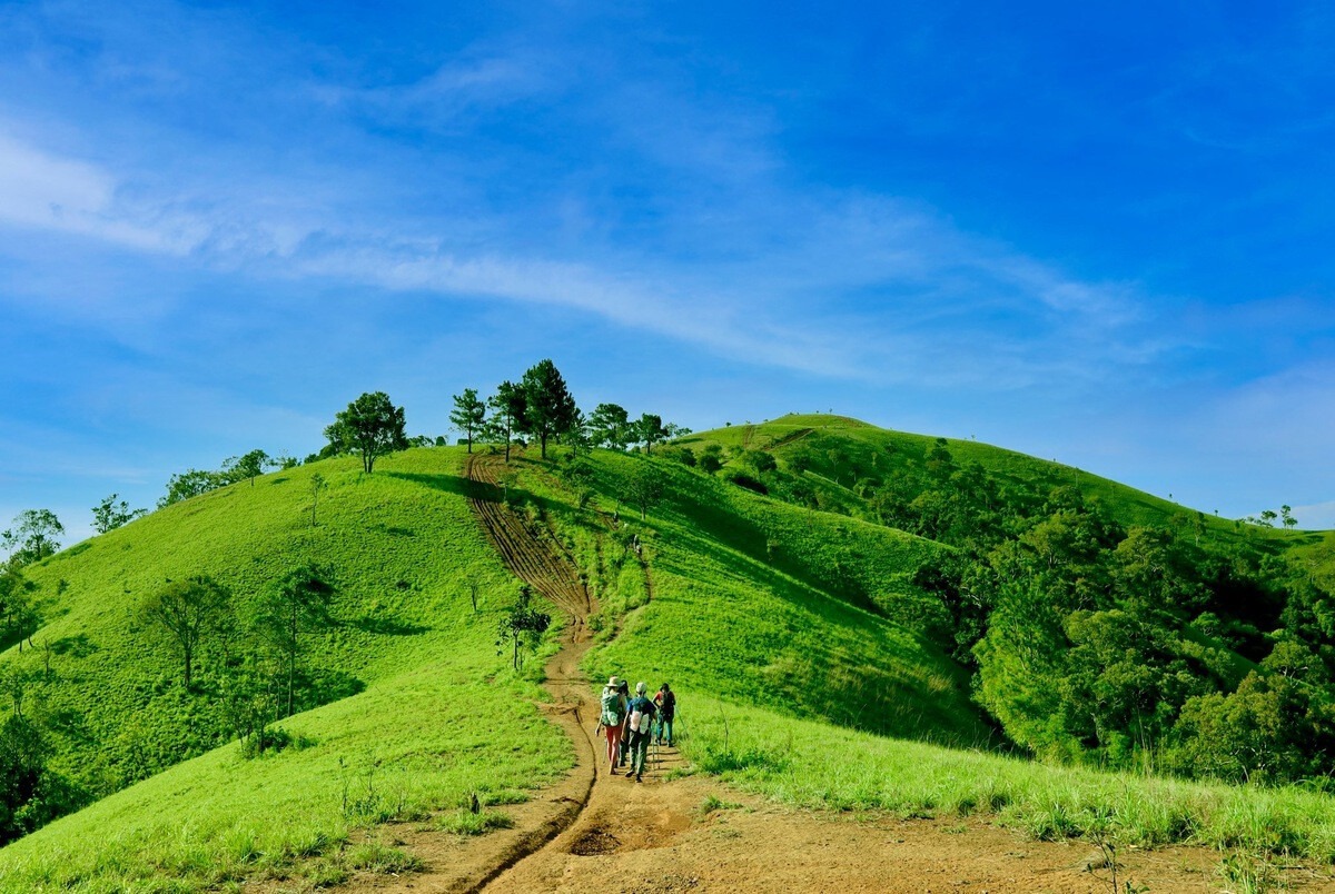 Trekking Tà Năng - Phan Dũng - Nguồn: Internet