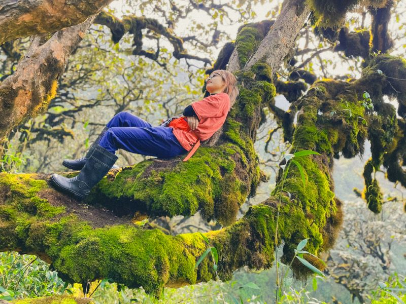 Trekking Khang Su Văn - Nguồn: Internet