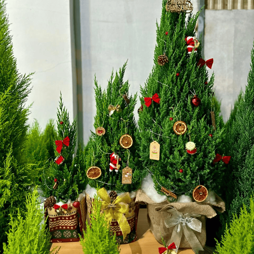 30++ Ý tưởng quà giáng sinh cho đồng nghiệp không đụng hàng!