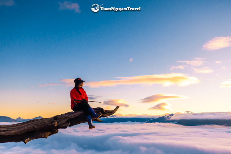 10 Tour du lịch chinh phục núi Lảo Thẩn – Nóc nhà Y Tý hùng vĩ