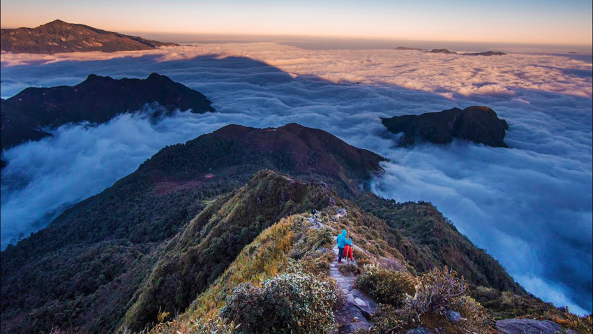 10+ tour du lịch chinh phục Putaleng ngắm hoa đỗ quyên