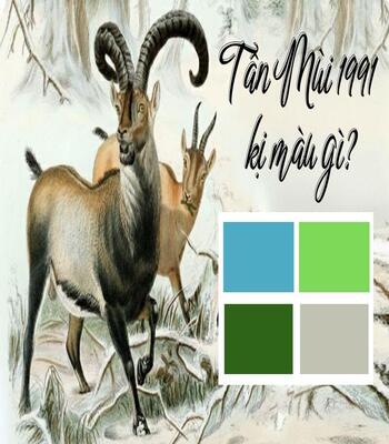 1991 hợp màu gì? Màu may mắn, tương sinh thu hút tài lộc cho tuổi Tân Mùi