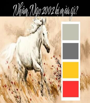 2002 hợp màu gì? Màu may mắn, tương sinh thu hút tài lộc cho tuổi Nhâm Ngọ