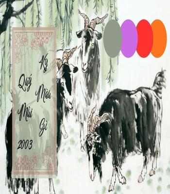 2003 hợp màu gì? Chìa khóa sắc màu khai mở vượng khí cho người tuổi Quý Mùi