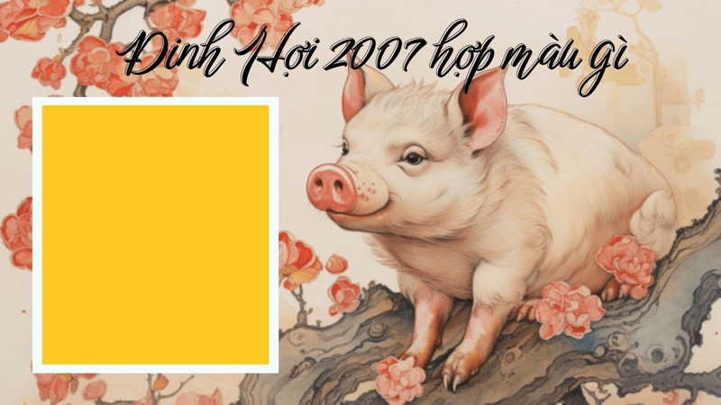 2007 Hợp màu gì? Khám phá gam màu tương sinh thu hút vận may, củng cố sự nghiệp