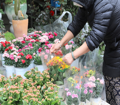 TOP 10 chợ hoa Tết 2026 tại Hà Nội đẹp nức lòng