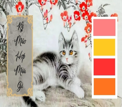 Tuổi Mão hợp màu gì, kiêng màu gì để hút may mắn tài lộc