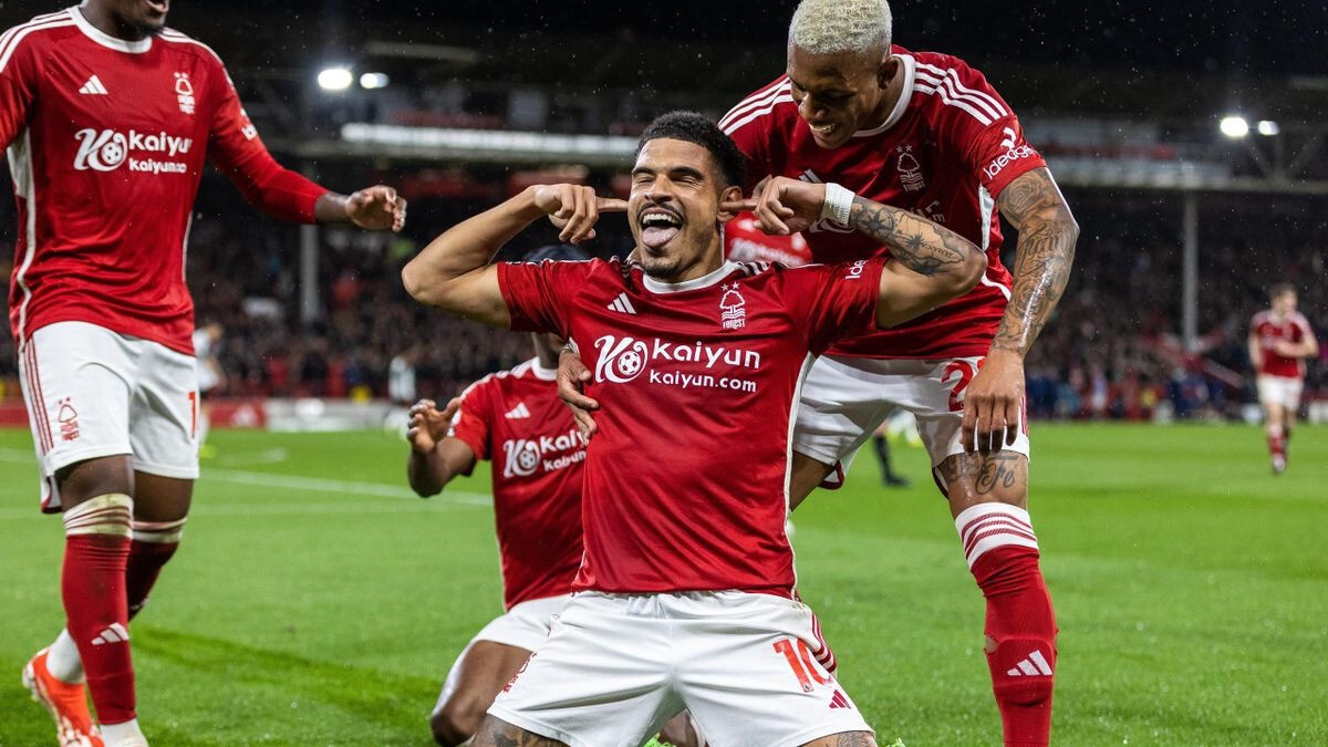 Nottingham Forest đang đứng ở vị trí thứ 17 trên bảng xếp hạng Giải bóng đá ngoại hạng Anh - Nguồn: Internet