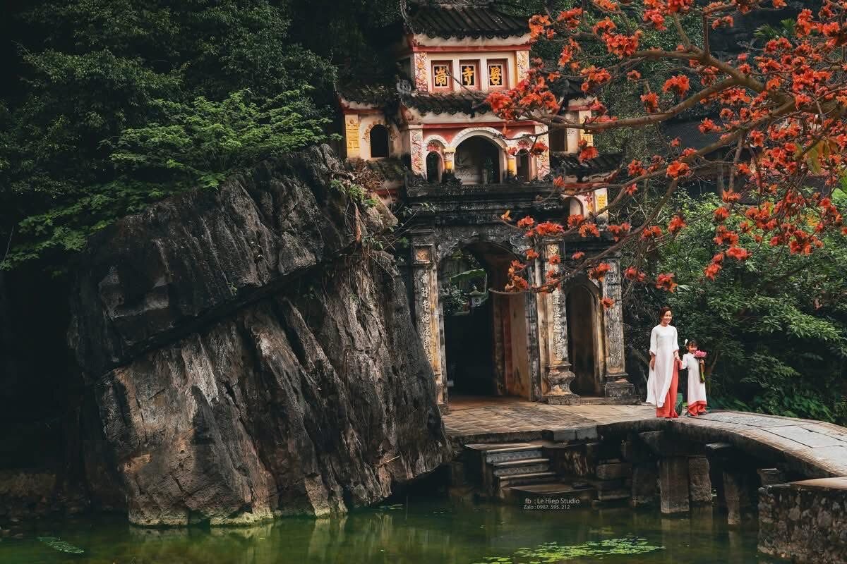 Check-in với cây hoa gạo trước cổng chùa Bích Động (Nguồn: Internet)