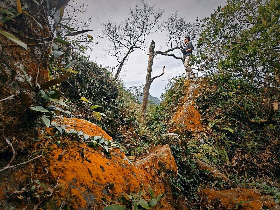 Một đoạn đường rừng thuộc cung trekking Tây Yên Tử (Nguồn: Internet)