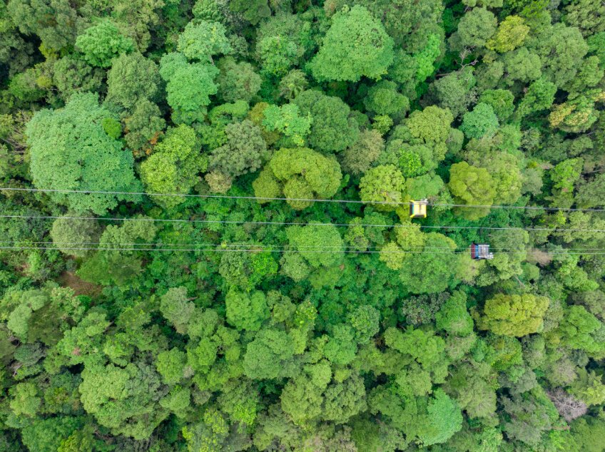 Trải nghiệm đi cáp treo ngắm rừng nguyên sinh tại Tây Yên Tử (Nguồn: Internet)