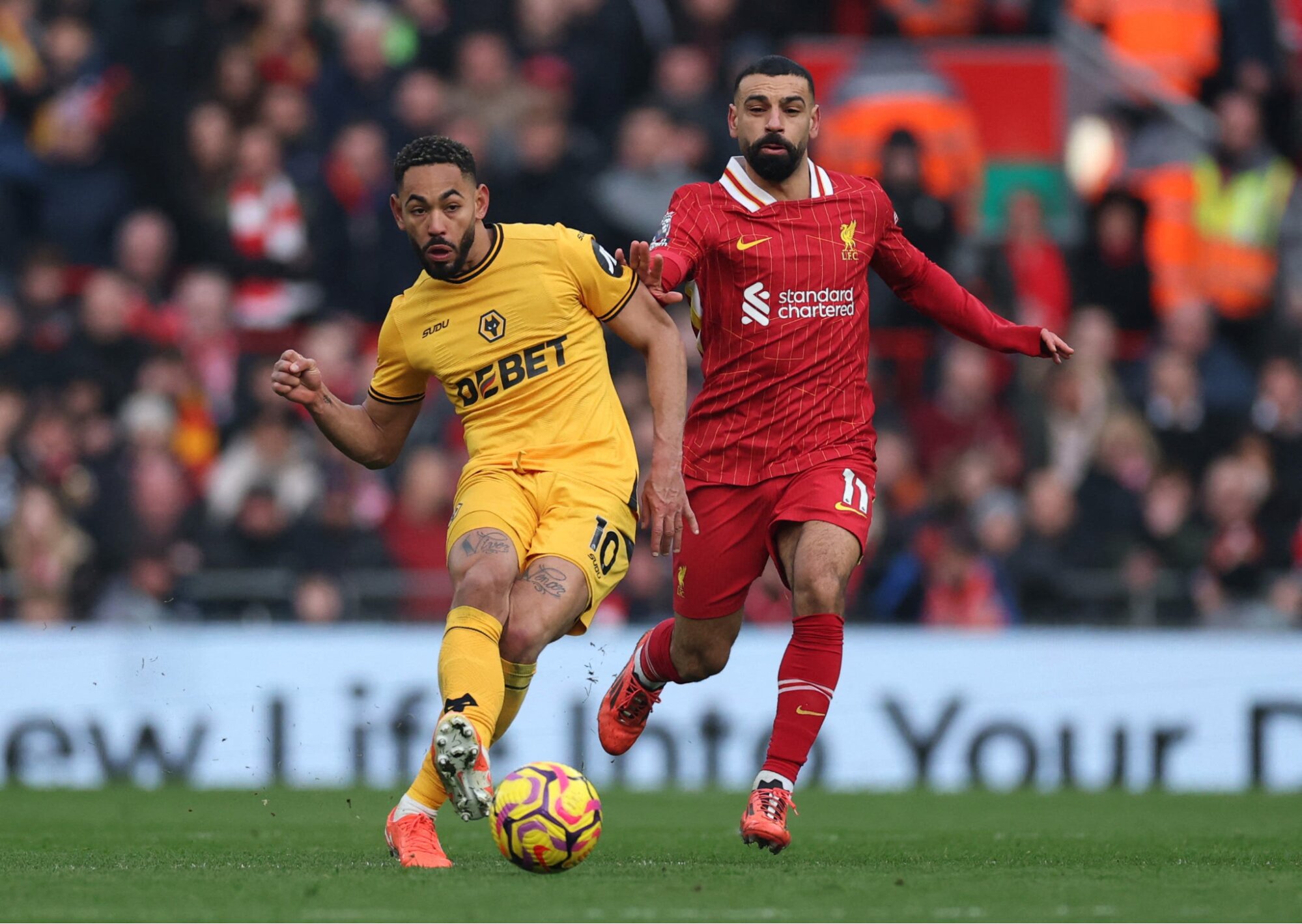 Dự đoán trận đấu giữa Liverpool vs Wolverhampton Wanderers sẽ kết thúc với tỷ số 2-0 - Nguồn: Internet